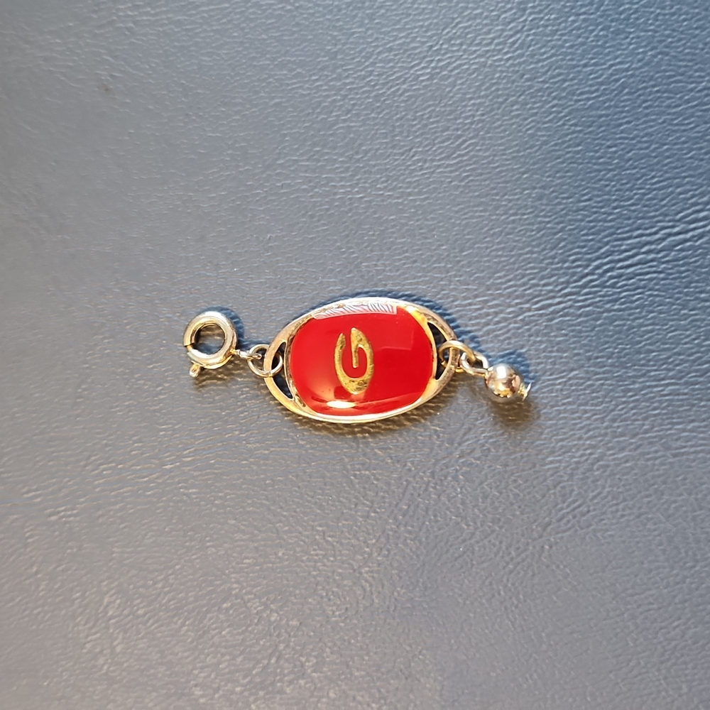 Georgia Bulldogs dangle